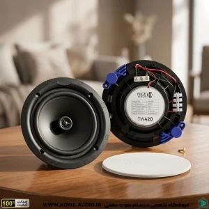 NICE VOICE TW420