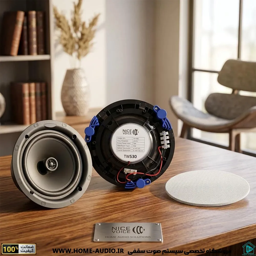 NICE VOICE TW530